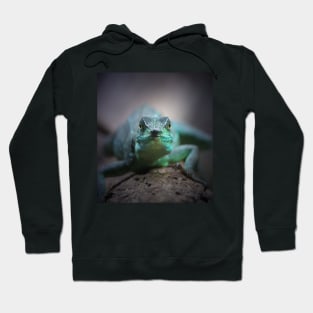 Plumed Basilisk Hoodie